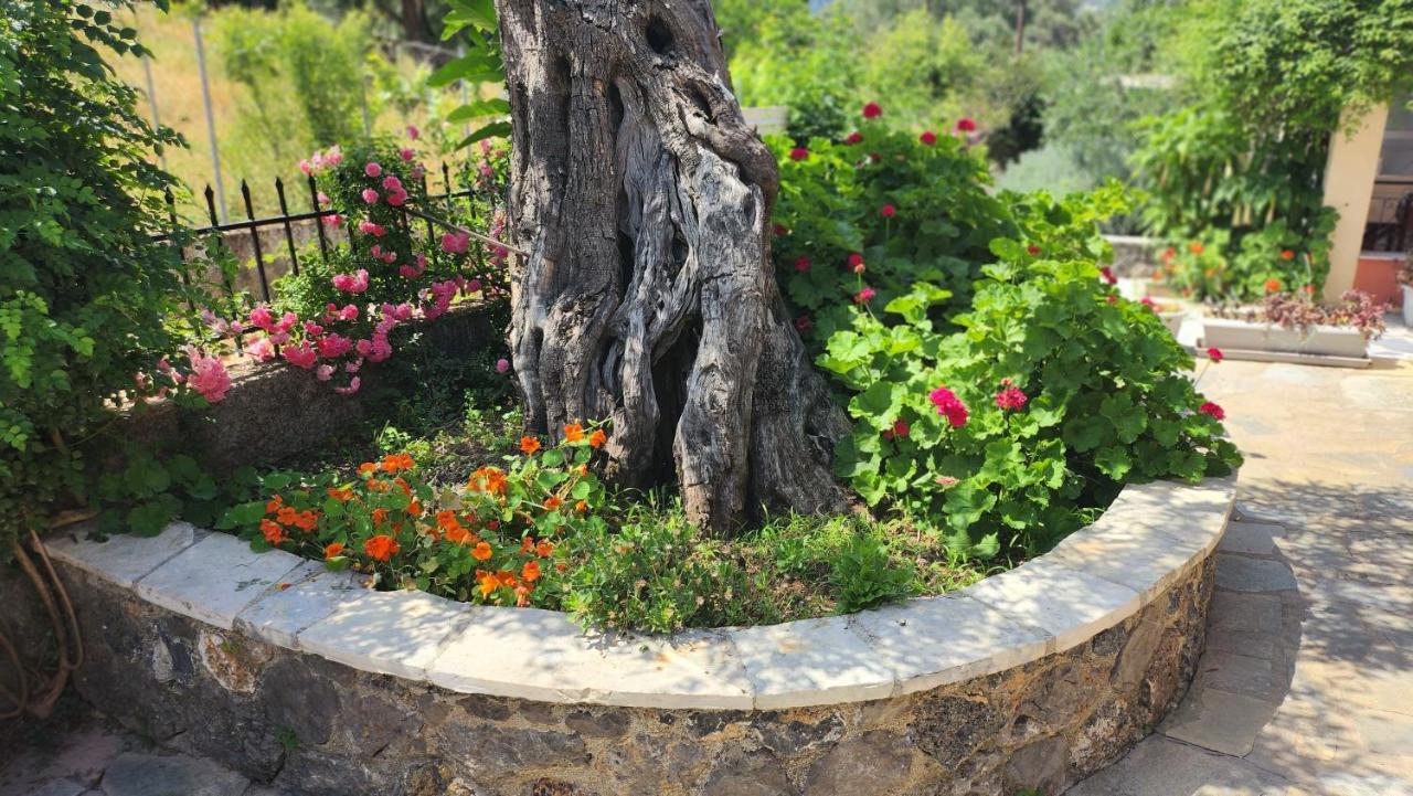 Aristea Studios Като-Коракиана Экстерьер фото