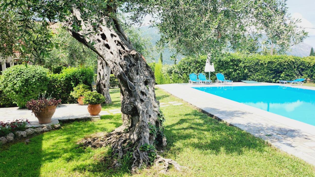 Aristea Studios Като-Коракиана Экстерьер фото
